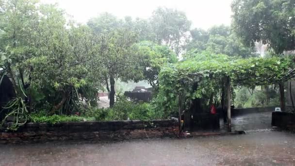 热带雨 — 图库视频影像